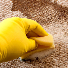 Collection image for: Cat - Clean up & odour control