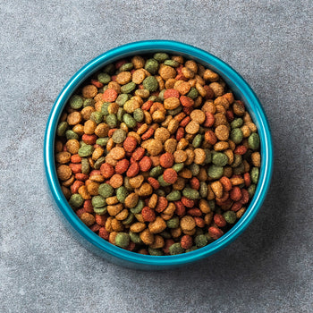 Cat Dry Food