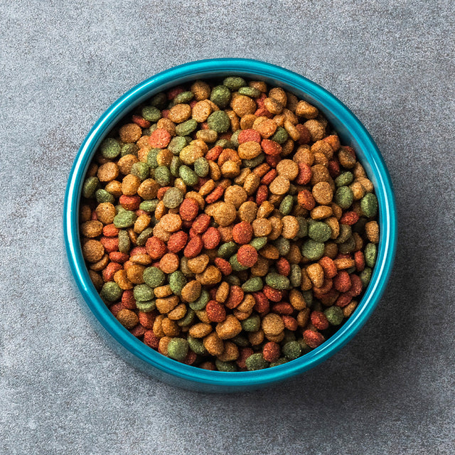 Cat Dry Food