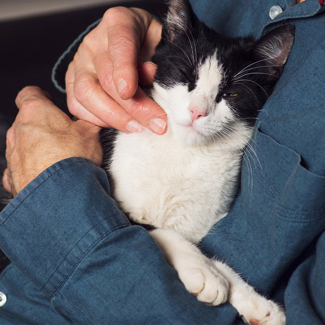 Cat Food - Joint Support