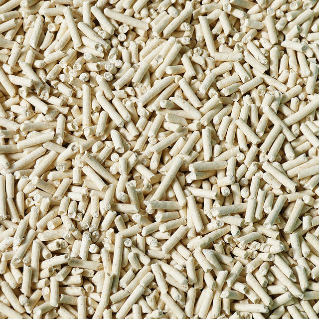 Cat - Litter and Accessories