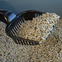 Collection image for: Litter Trays & Accessories