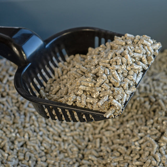 Litter Trays & Accessories