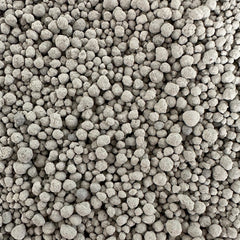 Collection image for: Clumping Cat Litter