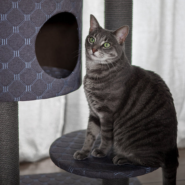 Cat - Scratching Poles