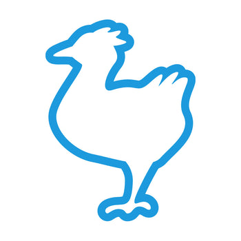 Cat Dry Food - Chicken