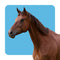 Livestock Supplies