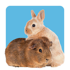 Collection image for: Small Animal Supplies