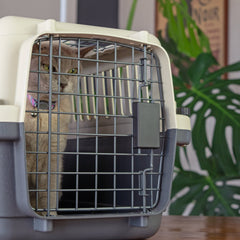 Collection image for: WagTime Air Traveller Carriers