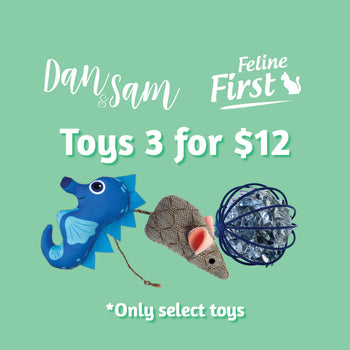 Cat Toy Multi-Buy 3 for $12