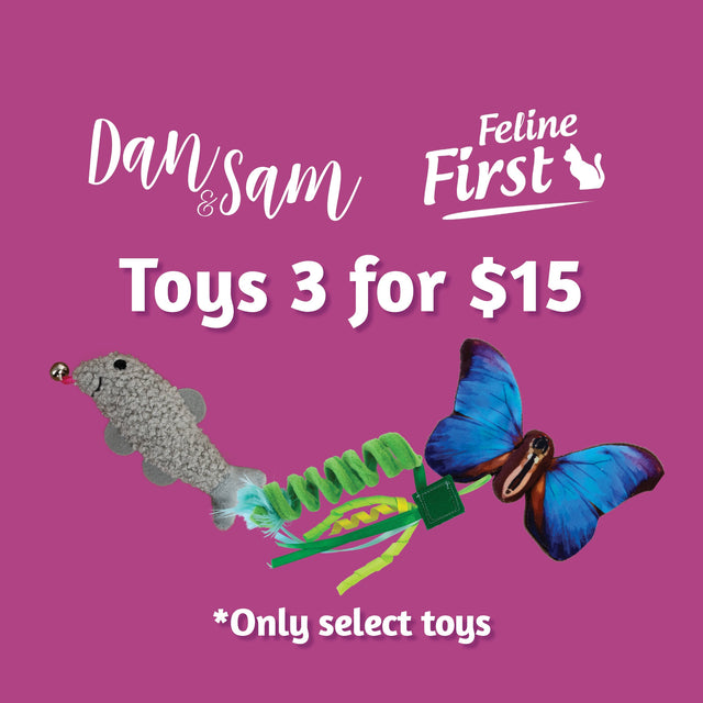 Cat Toy Multi-Buy 3 for $15