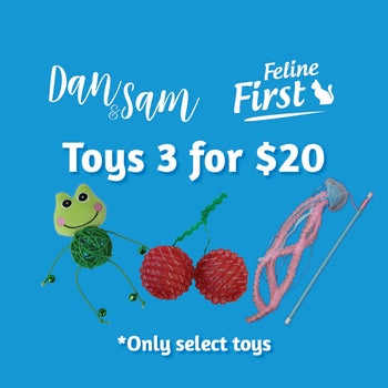Cat Toy Multi-Buy 3 for $20