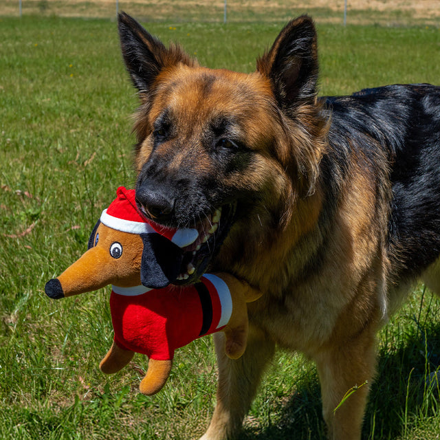 Dog Christmas Toys