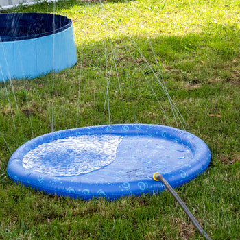Dog Cooling Toys