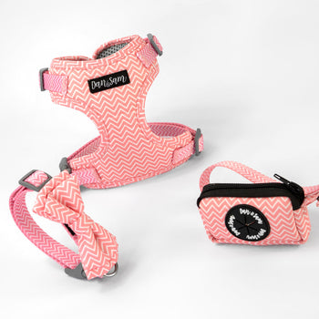 Dan & Sam Candy Floss Dog Walkwear