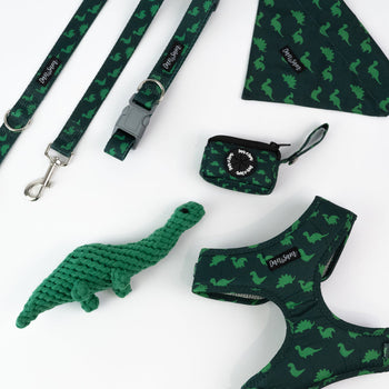 Dan & Sam Dinosaur Land Dog Walkwear