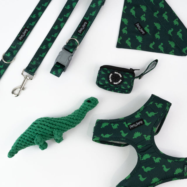 Dan & Sam Dinosaur Land Dog Walkwear
