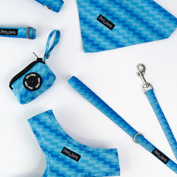Dan & Sam Coastal Dog Walkwear