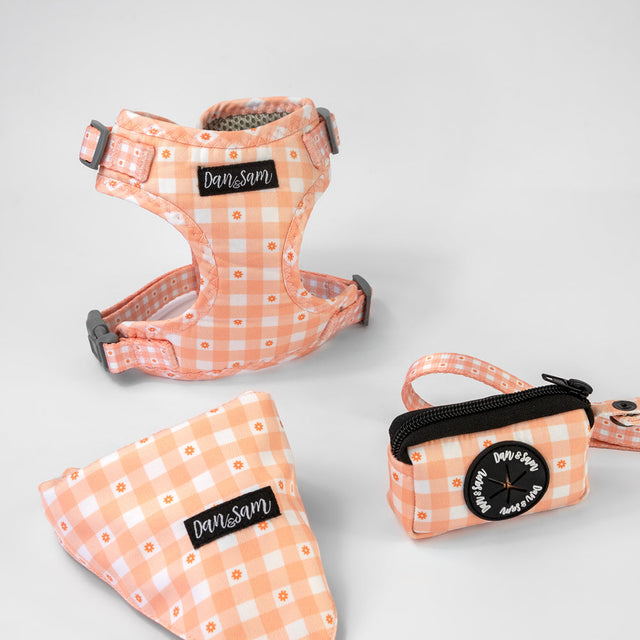 Dan & Sam Daisy Picnic Dog Walkwear