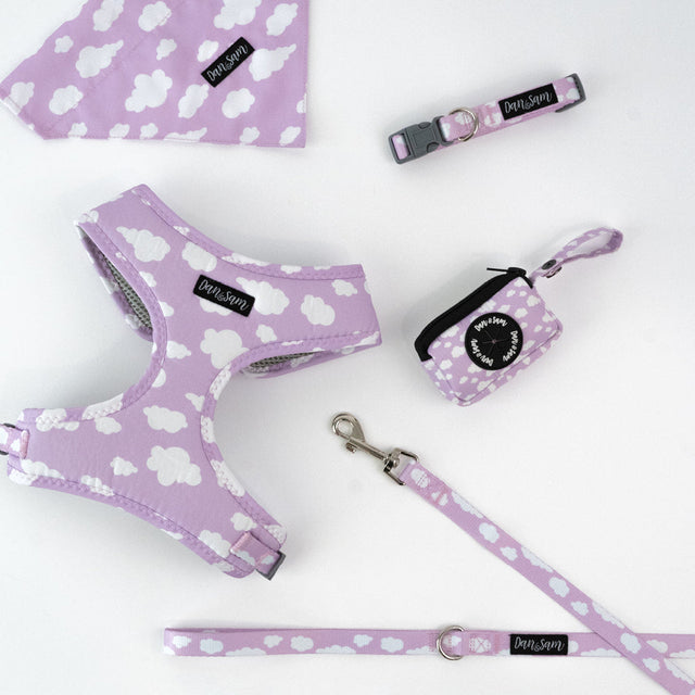 Dan & Sam Dreamer Dog Walkwear