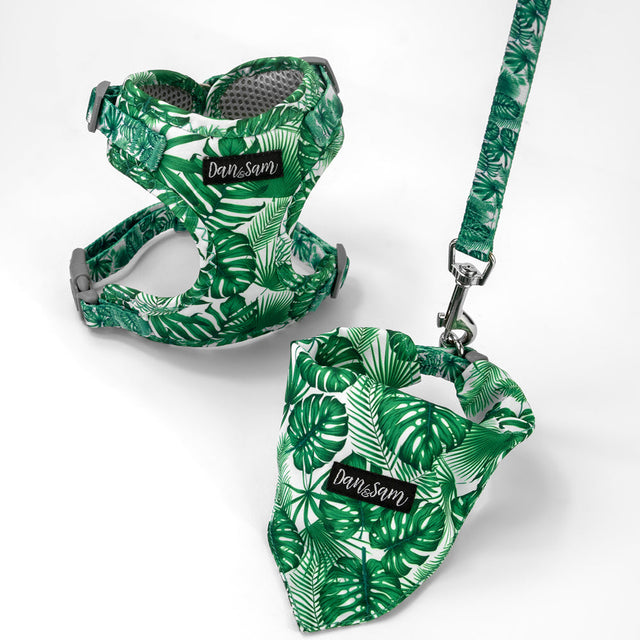 Dan & Sam Lahana Dog Walkwear