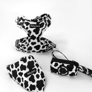Dan & Sam Milkshake Dog Walkwear
