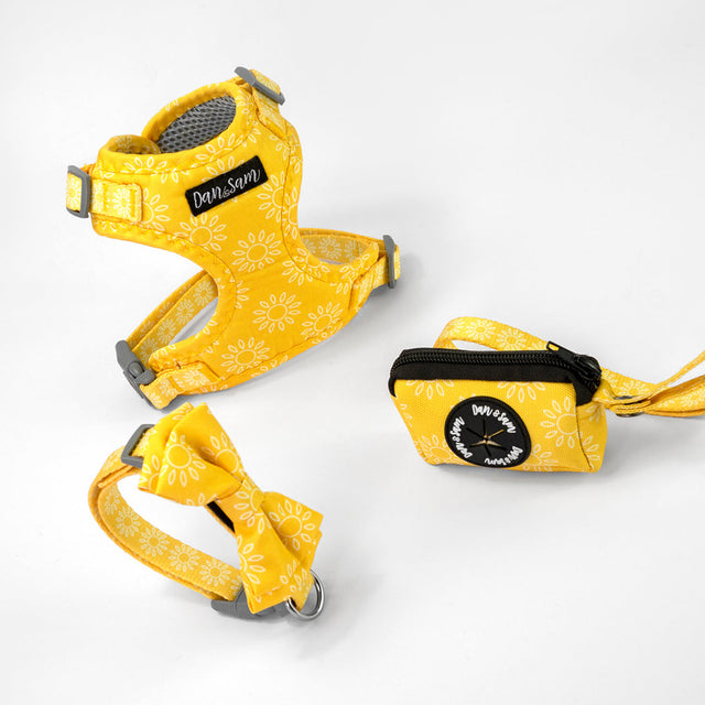 Dan & Sam Wild Sunflower Dog Walkwear