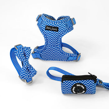 Dan & Sam Ziggy Dog Walkwear