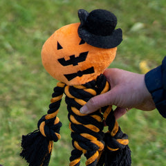 Collection image for: Dog Halloween Toys