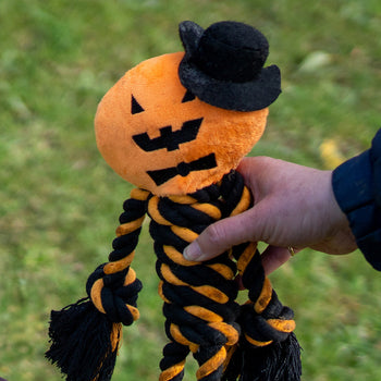 Dog Halloween Toys