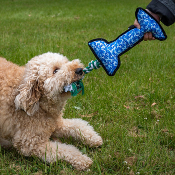 Dog Rope Toys