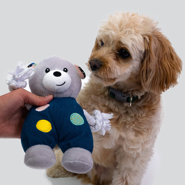 Dog Soft Toys