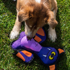 Collection image for: Dog Treat Dispensing Toys