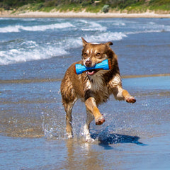 Collection image for: Dog Water Toys