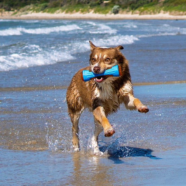 Dog Water Toys