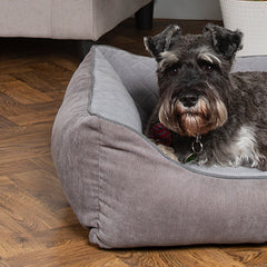 Collection image for: Dog Box Beds