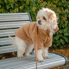 Collection image for: Dan & Sam - Teddy Jumpers