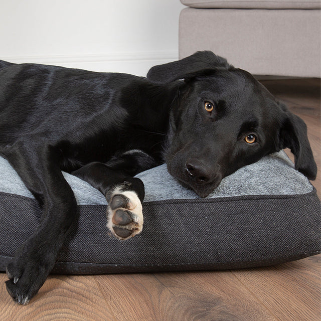 Dog Beds - Large