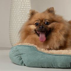 Collection image for: Dog Beds - Medium