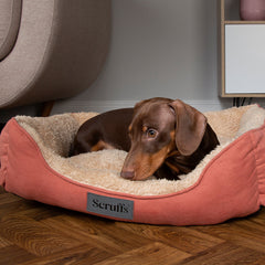 Collection image for: Scruffs Dog Beds