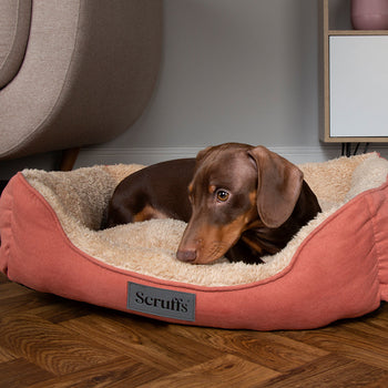 Scruffs Dog Beds