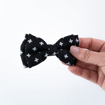 Dog Accessories