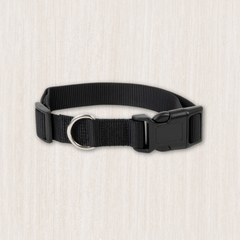 Collection image for: Dog Basic Collars