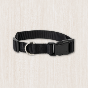 Dog Basic Collars