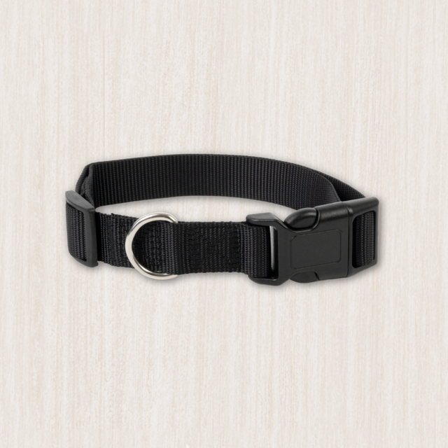 Dog Basic Collars