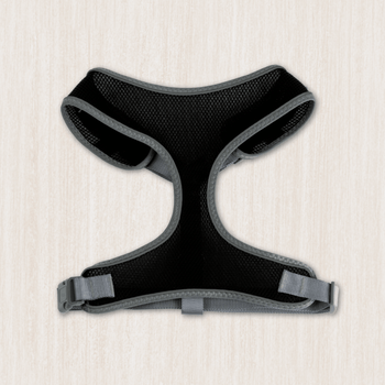 Dog Basic Harnesses