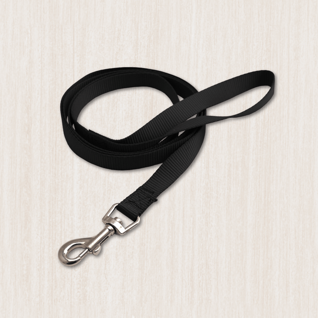 Dog Basic Leads