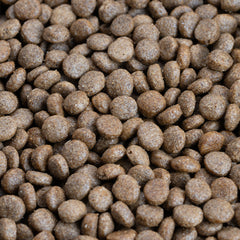 Collection image for: Dog Food - Chicken Free