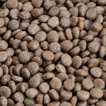 Dog Food - Chicken Free