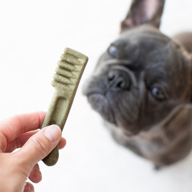 Dog Dental Treats & Chews